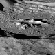 Image for article titled io9 Newsstand is Excited To Go Paragliding on the Moon